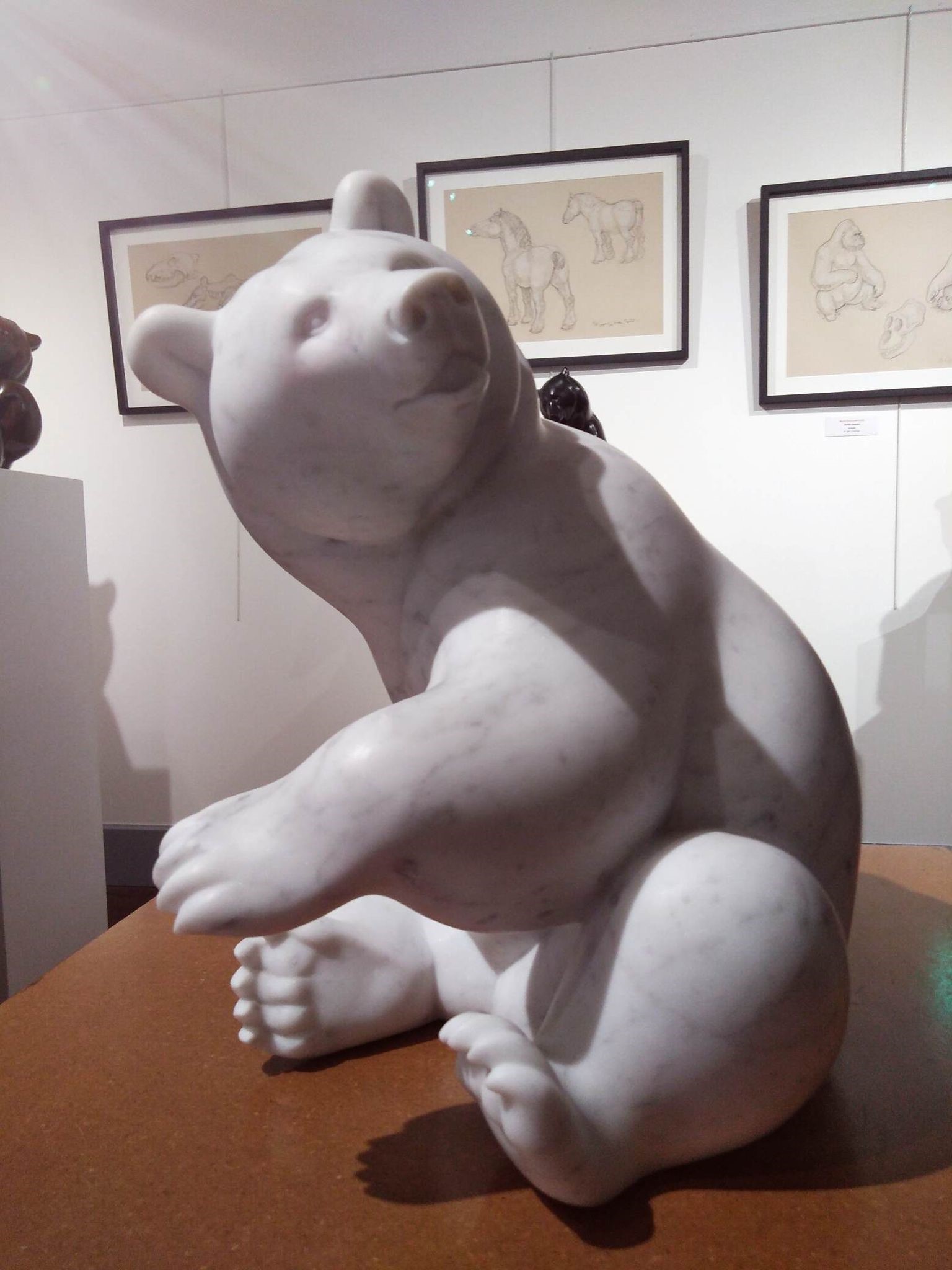 ours blanc expo musée 2022