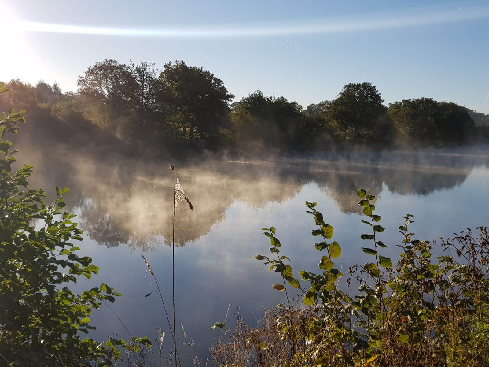 Etang de Tournesac